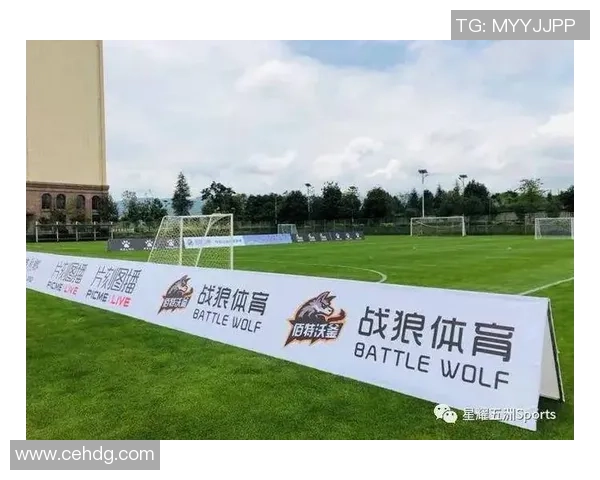 泸水足球崛起之路探索地方文化与体育发展的完美结合
