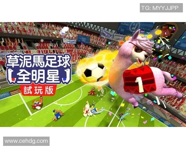 足球明星的搞笑商店让你笑不停的奇趣商品大集合 足球明星的搞笑商店让你笑不停的奇趣商品大集合